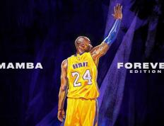 赛前速览：意甲常规赛迈阿密热火对阵费内巴切，三大看点值得期待的简单介绍